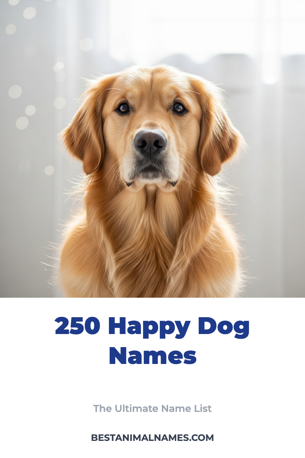 250 Happy Dog Names