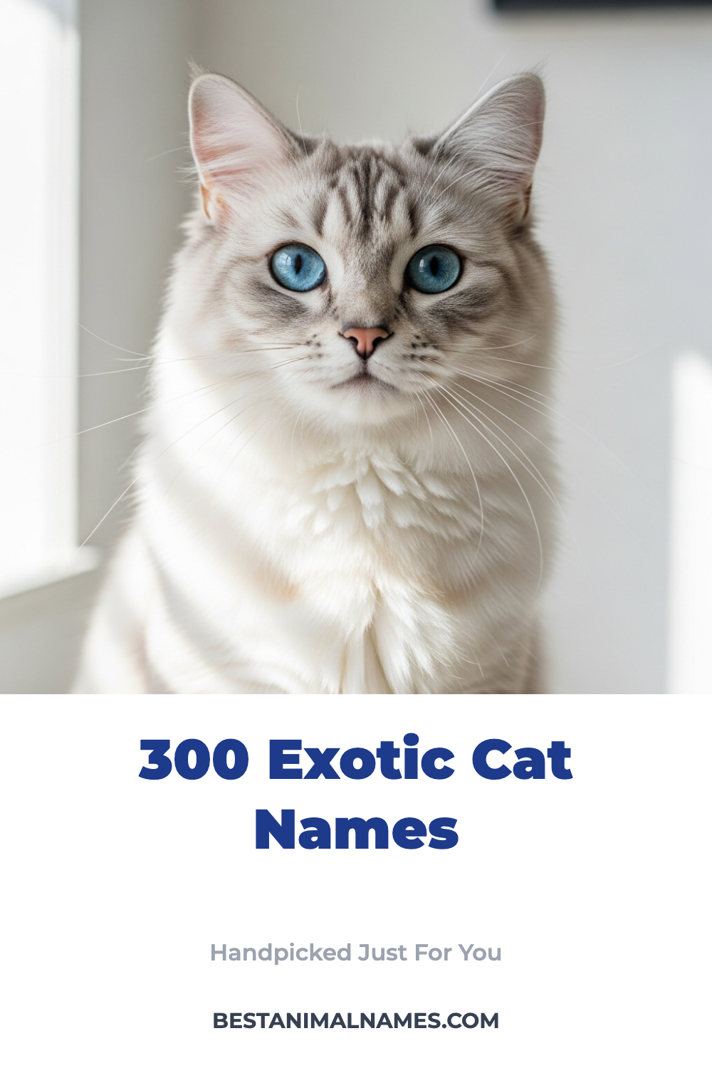 300 Exotic Cat Names